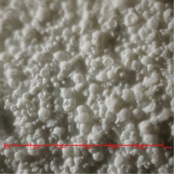 Fassadenfarbe SMART-COLORS AB: schimmelfrei algenfrei – Bild 2