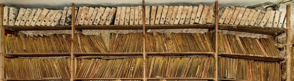 Schimmel an Akten - Je länger nicht gehandelt wird, um so teurer kann es werden