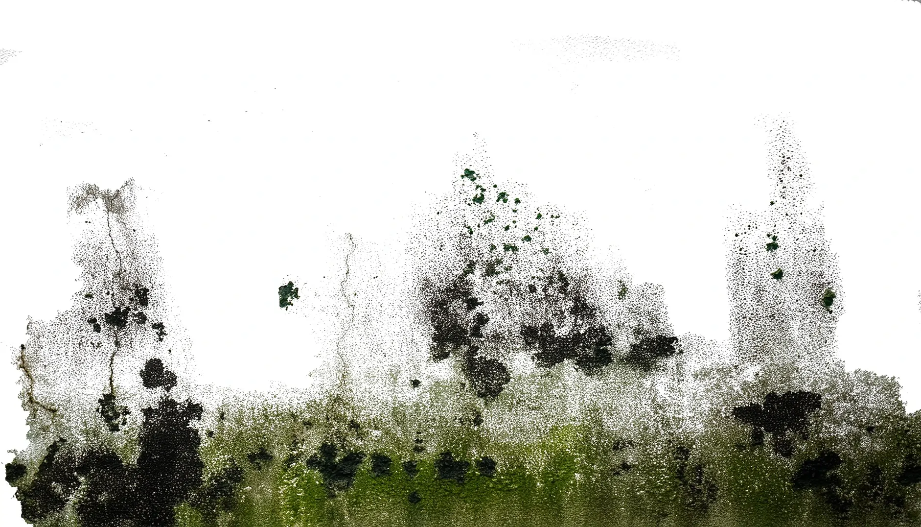 Schimmelflecken müssen sofort beseitigt werden Eine Wand mit schwarzem und grünem Schimmel