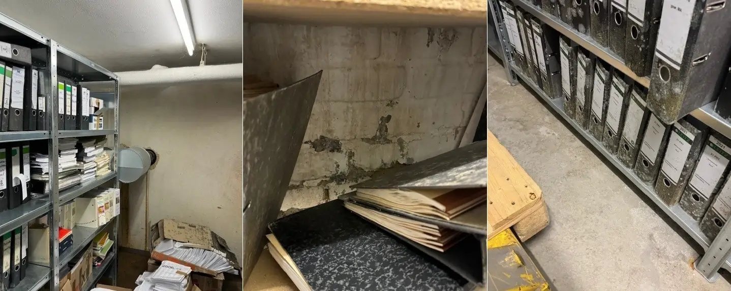 Schimmel an Akten - dank Aktenrettung a lá FILOCLEAN kein Problem!