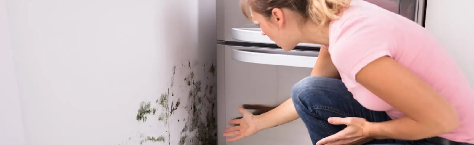 schimmelprotektor_schimmel-im-haus_luftfeuchtigkeit_schimmelentfernung_schimmelgutachten_solingen_blog_schimmel-an-der-innenwand