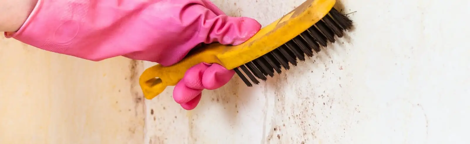 Schimmel? Relative Luftfeuchte? Heiz- und Lüftungstipps? Das und mehr liefert der Schimmelratgeber