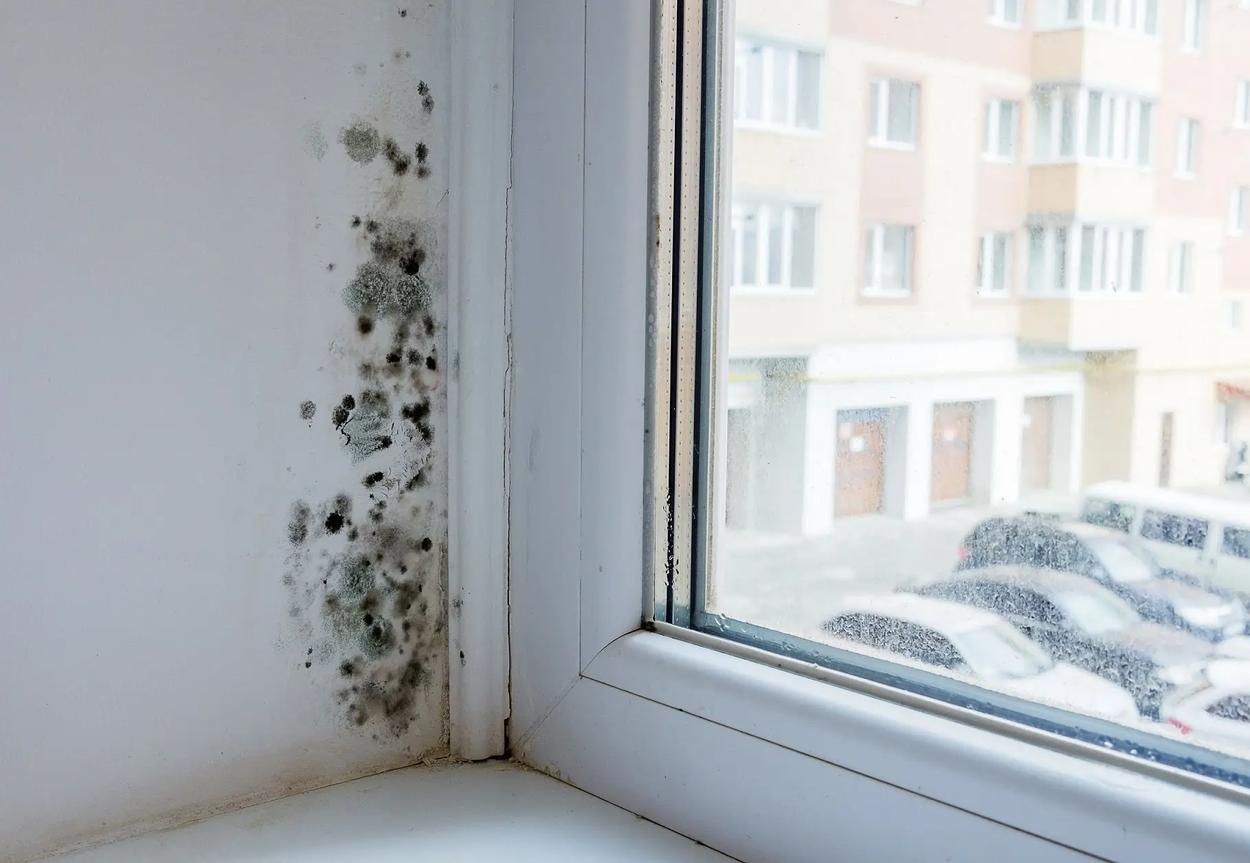 Deutlicher Schimmel am Fenster bzw. an der Fensterlaibung