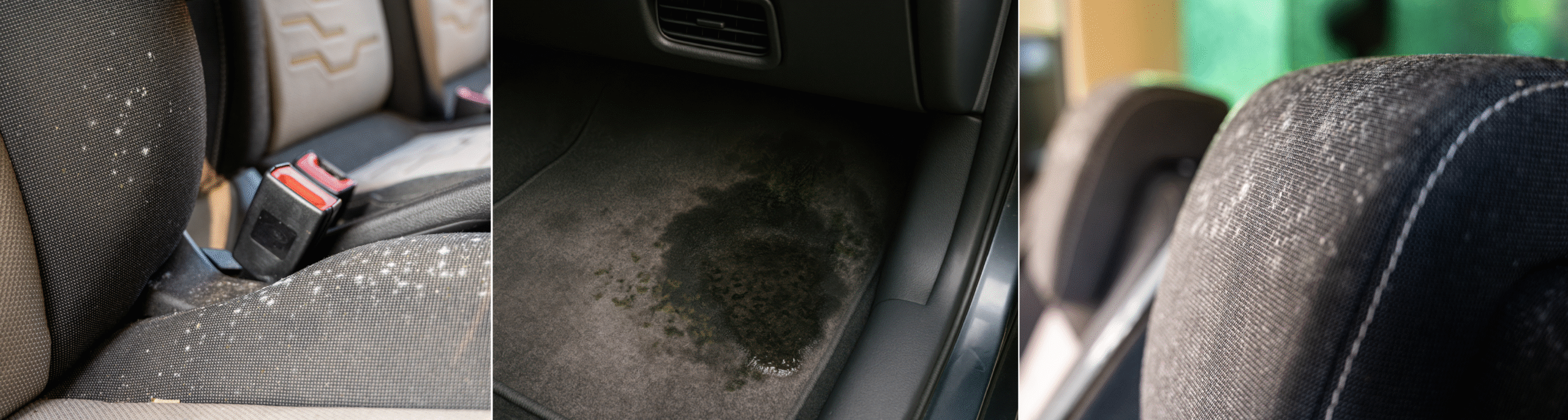 Schimmelbildung im Auto - auf dem Sitz, an der Kopflehne und im Fußbodenbereich.