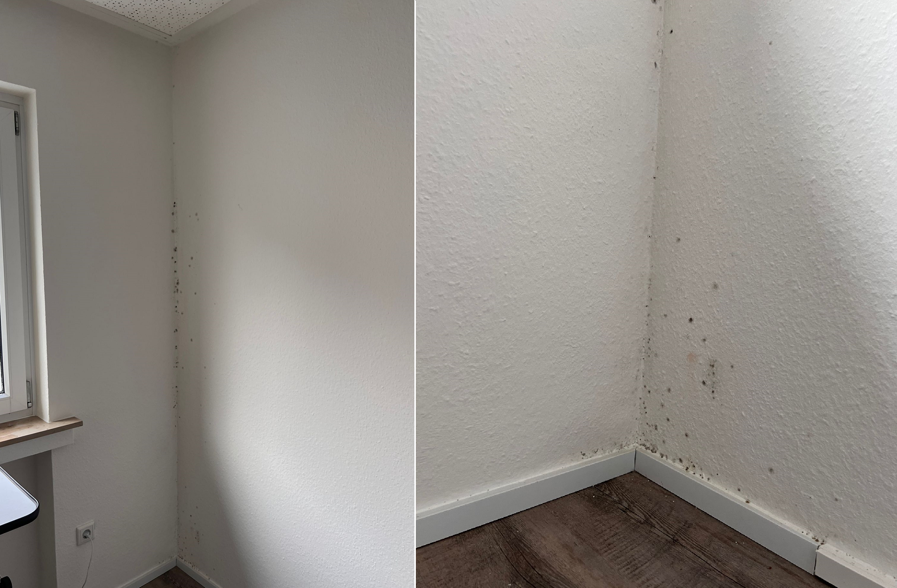 Bildcollage mit Schimmel in der Ecke und auf der Fussbodenleiste