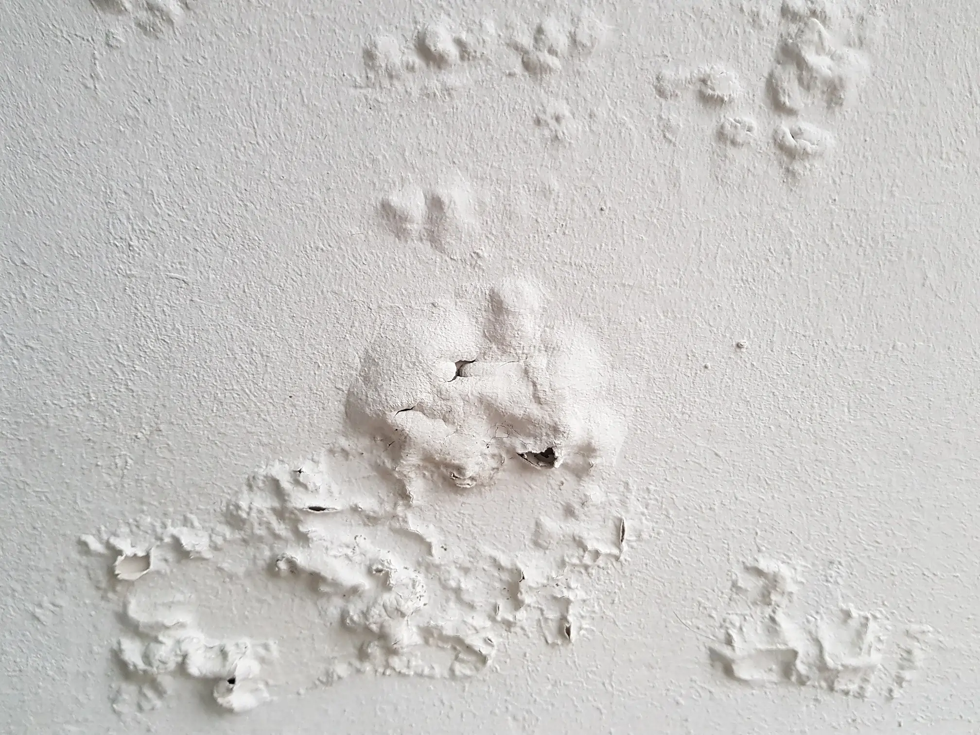 Stockflecken an einer Häuserwand